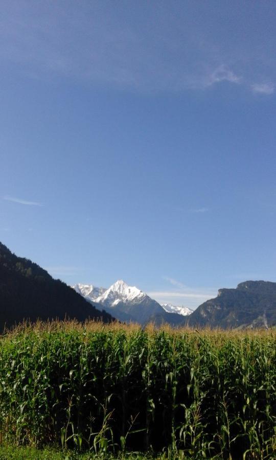Gaestehaus Wildauer เซลล์ อัม ซิลลา ภายนอก รูปภาพ